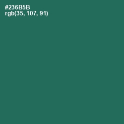 #236B5B - Amazon Color Image