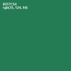 #237C54 - Amazon Color Image