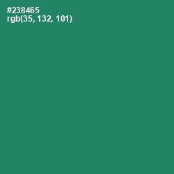 #238465 - Eucalyptus Color Image