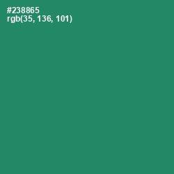 #238865 - Eucalyptus Color Image
