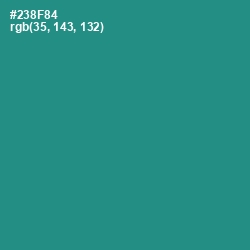 #238F84 - Lochinvar Color Image