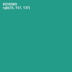 #239D89 - Lochinvar Color Image