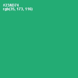 #23AD74 - Jade Color Image