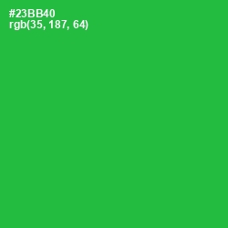 #23BB40 - Sea Green Color Image