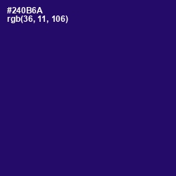 #240B6A - Paris M Color Image