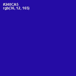 #240CA5 - Blue Gem Color Image