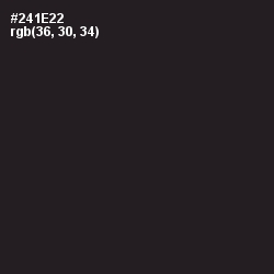 #241E22 - Revolver Color Image