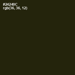#24240C - Onion Color Image