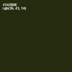 #242B0E - Onion Color Image