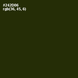 #242D06 - Onion Color Image