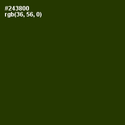 #243800 - Turtle Green Color Image