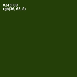 #243F08 - Turtle Green Color Image