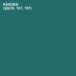 #246B6B - Casal Color Image