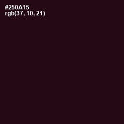 #250A15 - Gondola Color Image