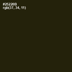 #25220B - Onion Color Image