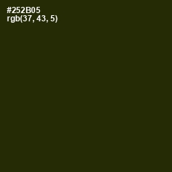 #252B05 - Onion Color Image