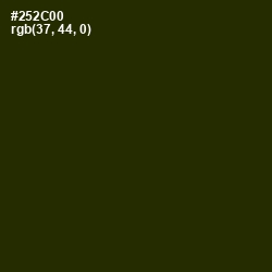 #252C00 - Onion Color Image