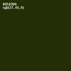 #252D06 - Onion Color Image