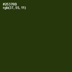 #25370B - Turtle Green Color Image