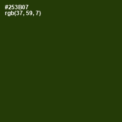 #253B07 - Turtle Green Color Image