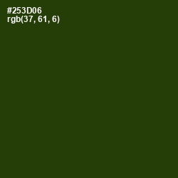 #253D06 - Turtle Green Color Image