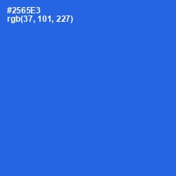 #2565E3 - Mariner Color Image