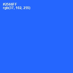 #2566FF - Blue Ribbon Color Image