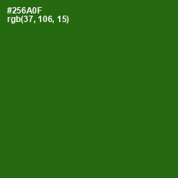 #256A0F - Dell Color Image