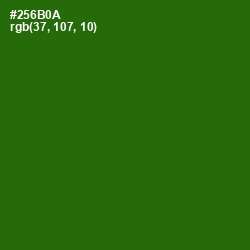 #256B0A - Dell Color Image