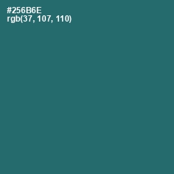 #256B6E - Casal Color Image