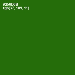 #256D0B - Bilbao Color Image