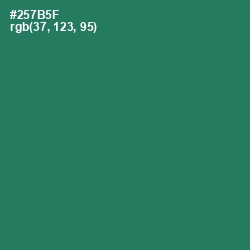 #257B5F - Amazon Color Image