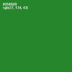 #25862B - Forest Green Color Image