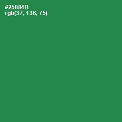 #25884B - Sea Green Color Image