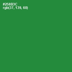 #258B3C - Forest Green Color Image