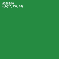 #258B40 - Sea Green Color Image