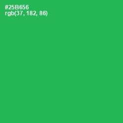 #25B656 - Sea Green Color Image