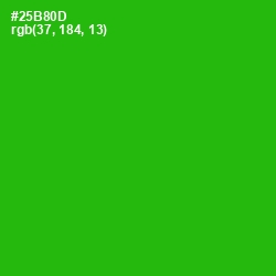 #25B80D - Forest Green Color Image