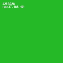 #25B928 - Forest Green Color Image