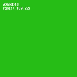 #25BD16 - Forest Green Color Image