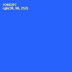 #2662FC - Blue Ribbon Color Image
