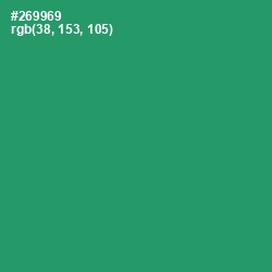 #269969 - Eucalyptus Color Image