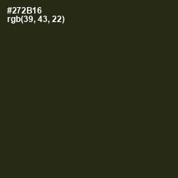#272B16 - Black Olive Color Image
