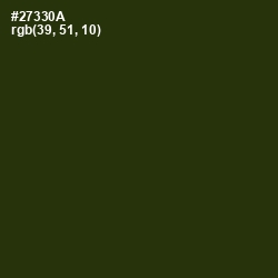 #27330A - Turtle Green Color Image