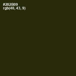 #282B09 - Onion Color Image