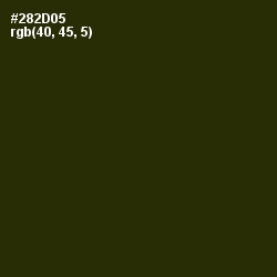 #282D05 - Onion Color Image