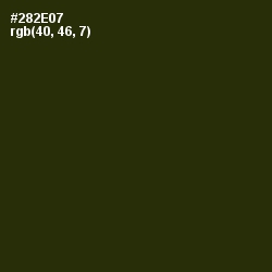 #282E07 - Onion Color Image