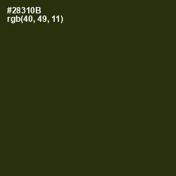 #28310B - Turtle Green Color Image