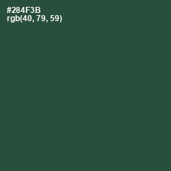 #284F3B - Lunar Green Color Image