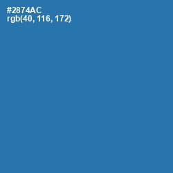 #2874AC - Astral Color Image